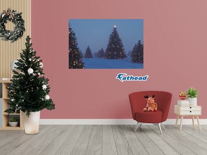 Christmas: Decorated Trees Poster - Removable Adhesive Decal
