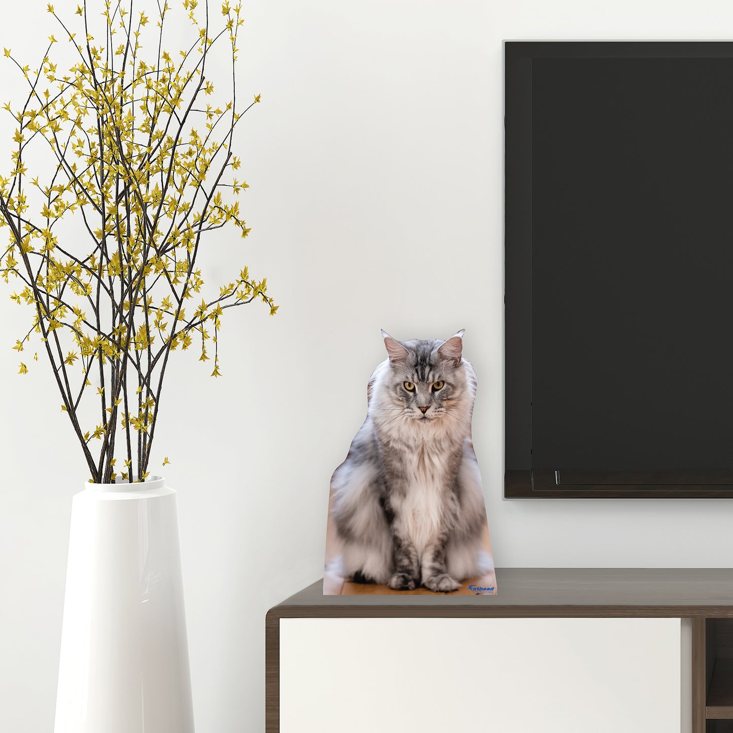 Animals:  Maine Coon Cat  Mini   Cardstock Cutout  -      Stand Out