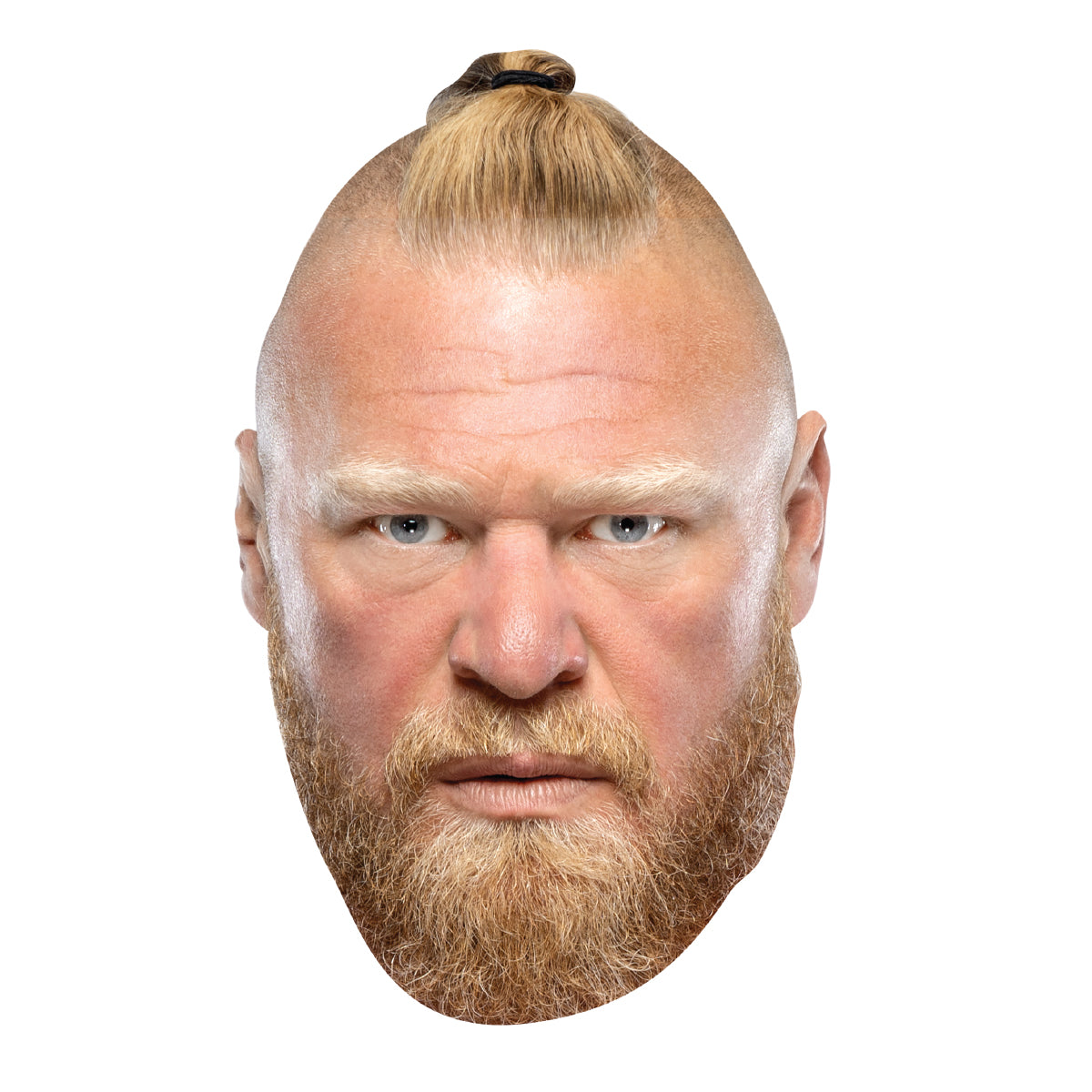 Brock Lesnar WWE, brocklesnar, HD phone wallpaper | Peakpx