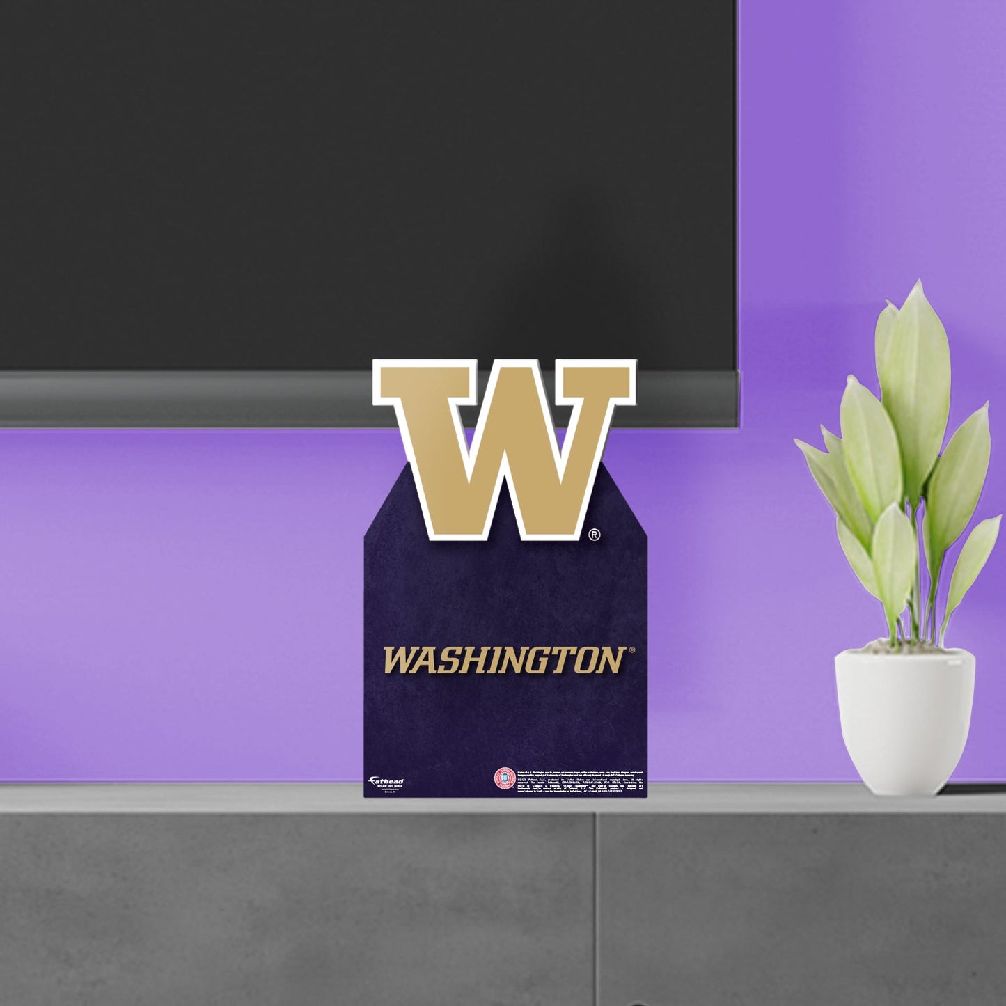 Washington Huskies: Mini Cardstock Cutout - Officially Licensed NCAA Stand Out