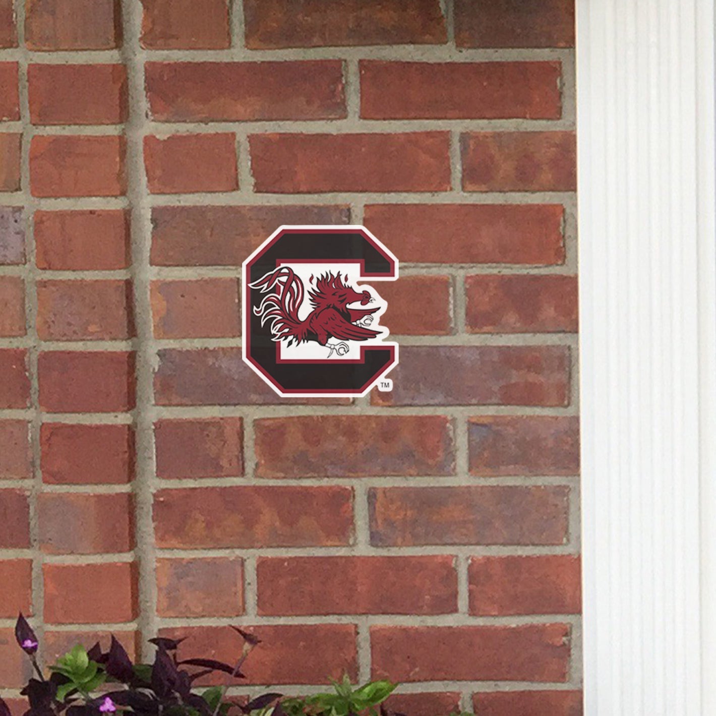 South Carolina Gamecocks: Outdoor Logo - Officially Licensed NCAA Outdoor Graphic