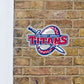 Detroit Mercy Titans:  2022 Outdoor Logo        - Officially Licensed NCAA    Outdoor Graphic