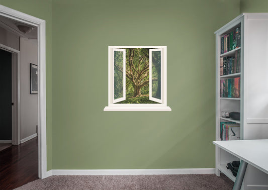Home Decor:  Instant Window Tree        -   Removable Wall   Adhesive Decal