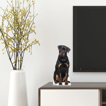 Animals:  Rottweiler  Mini   Cardstock Cutout  -      Stand Out