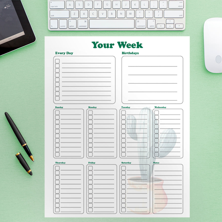 Checklist Cactus  - Removable Wall Decal