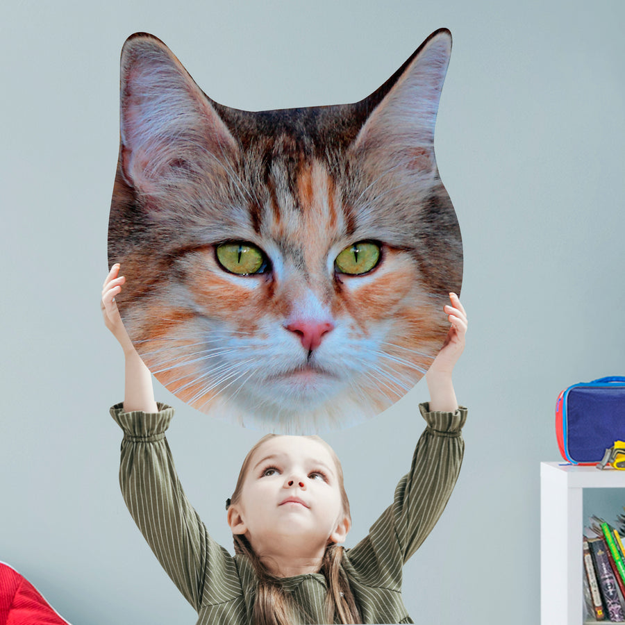 Animals: Norwegian Forest Cat Foam Core Cutout - Big Head