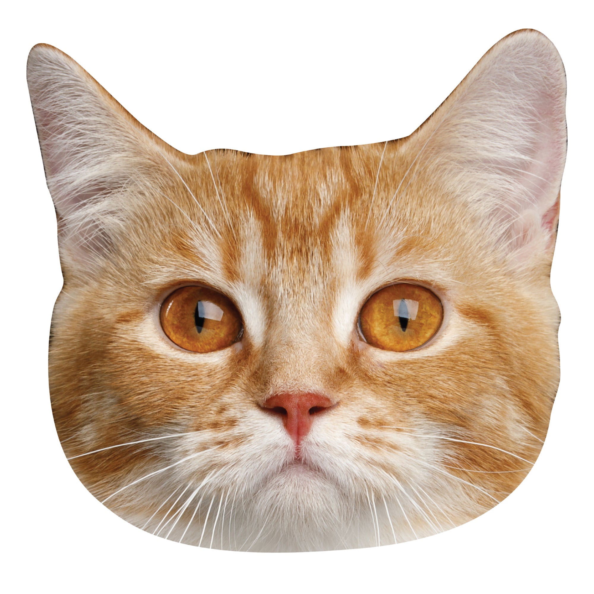 Orange cat hot sale head