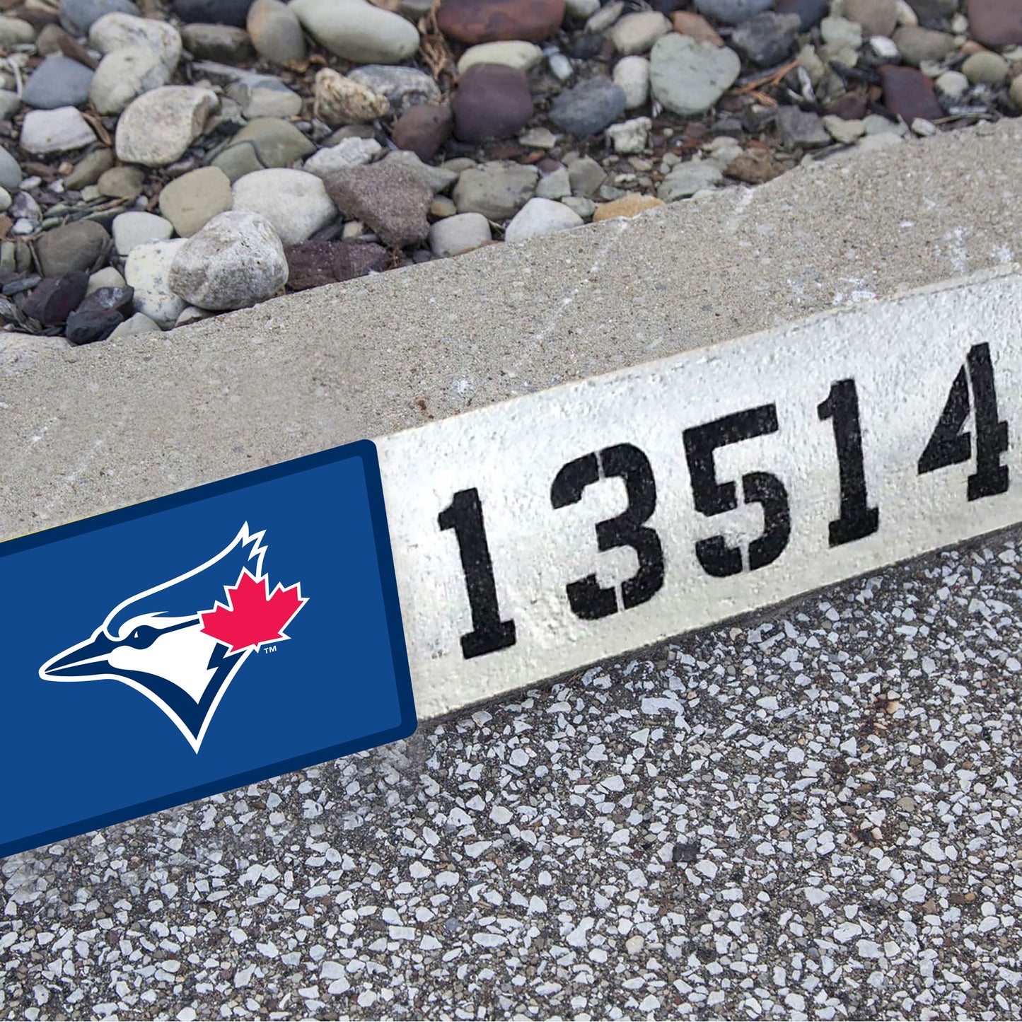 Toronto Blue Jays: Address Block Logo - Officially Licensed MLB Outdoor Graphic