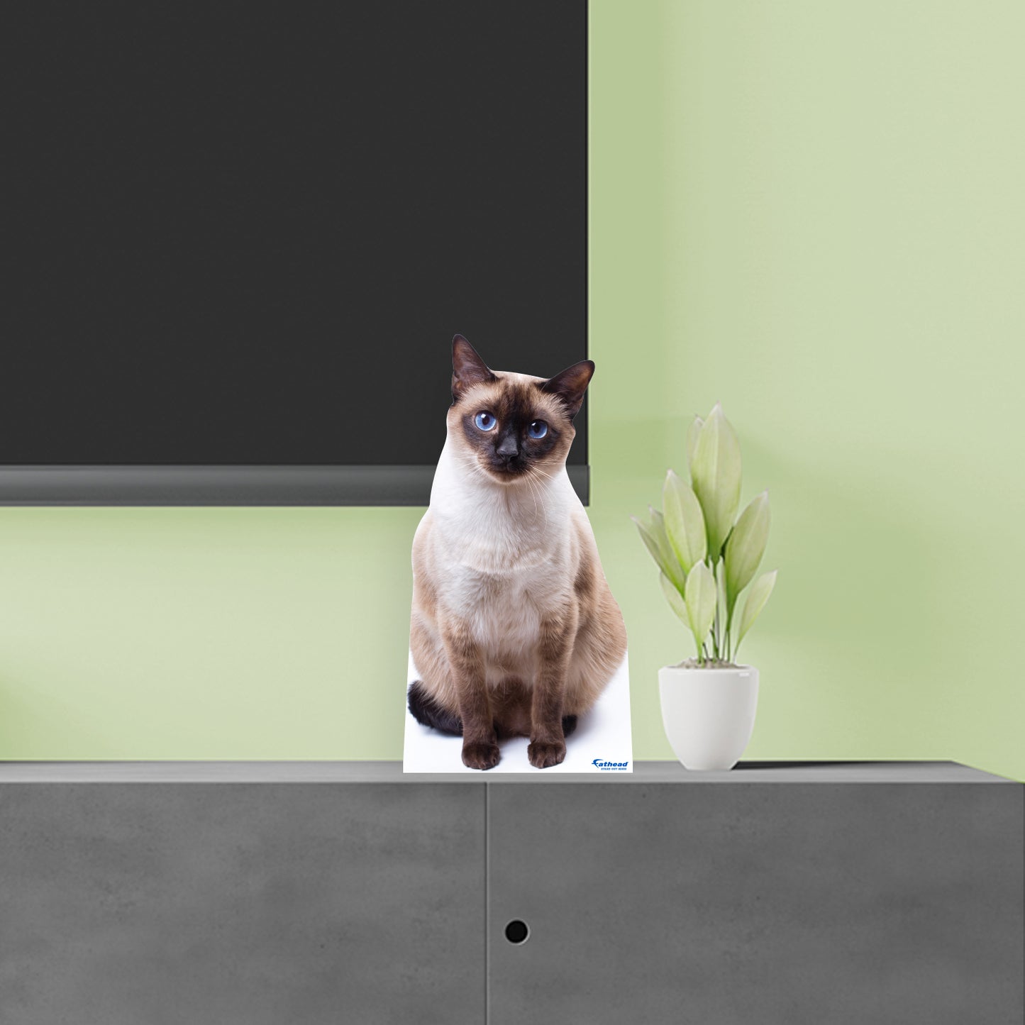 Animals:  Siamese Cat  Mini   Cardstock Cutout  -      Stand Out