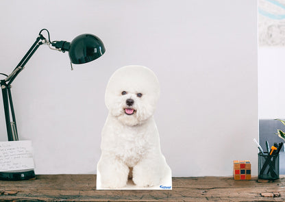 Animals:  Bichon  Mini   Cardstock Cutout  -      Stand Out