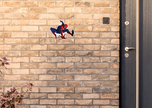 Spider-Man: Spider-Man Game Jumping        - Officially Licensed Marvel    Outdoor Graphic