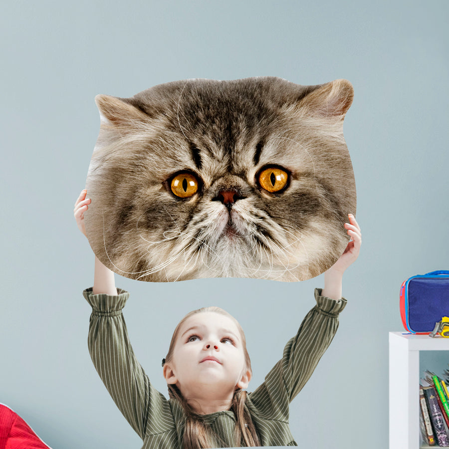 Animals: Persian Cat Foam Core Cutout - Big Head
