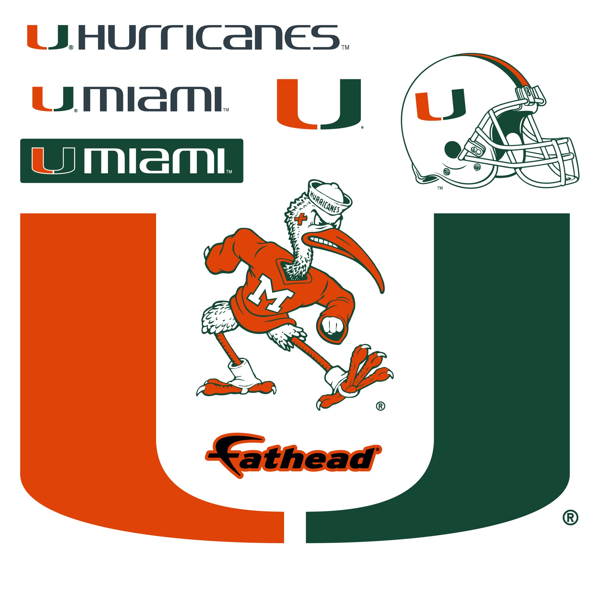 miami hurricanes football logo