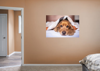 Join the Fathead Nation with a custom fathead pet mural of your best furry (or scaly) friend! Made of high-quality materials, you'll find these custom pet murals are durable and colorful. It makes the perfect gift, only your imagination will limit the subjects and uses of these custom big heads.