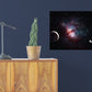 Planets: Asteroid Mural        -   Removable     Adhesive Decal