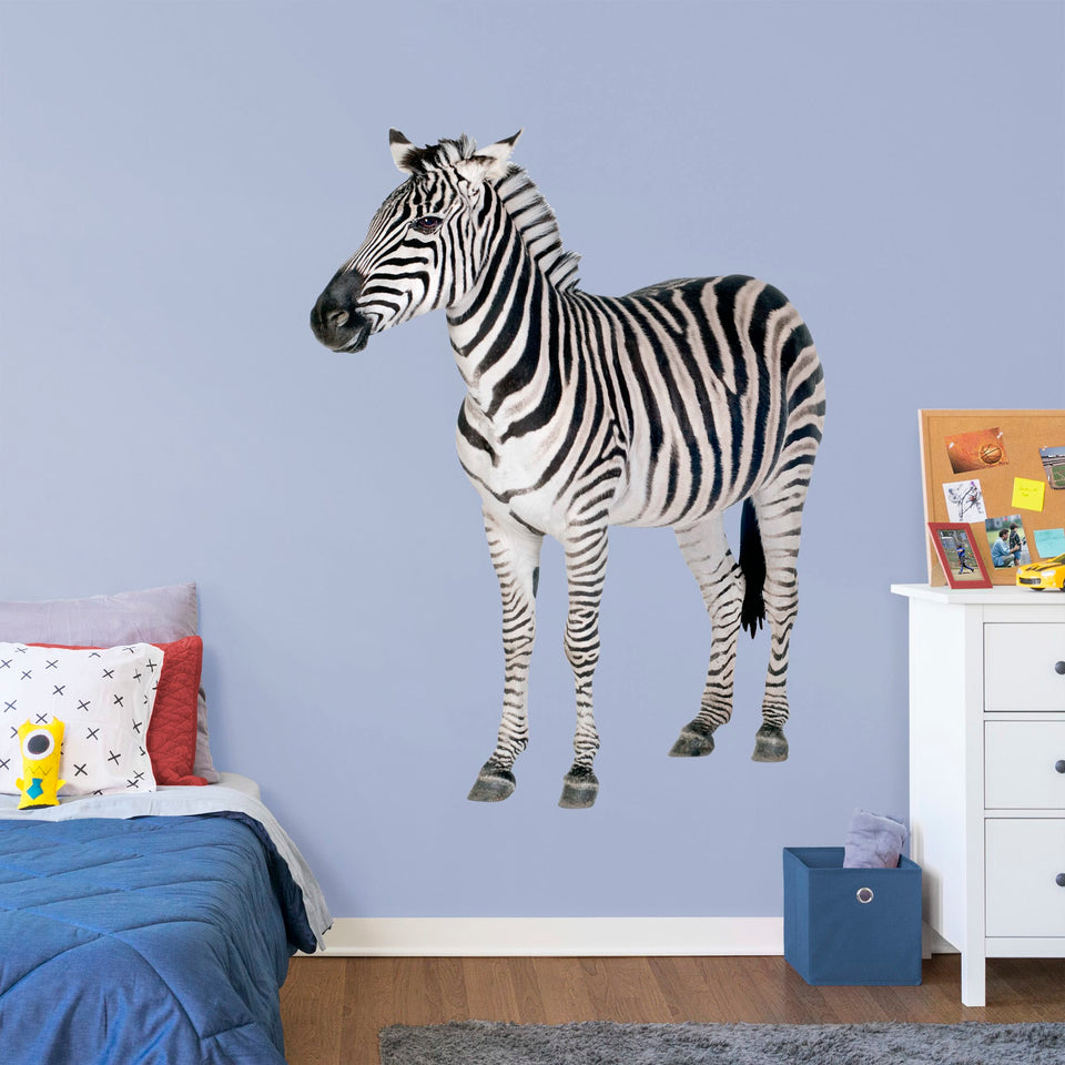 Large Animal + 2 Decals (12"W x 16"H)