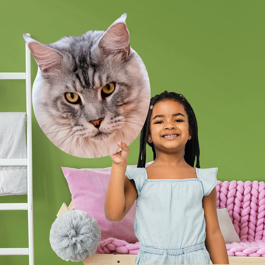 Animals: Maine Coon Cat Foam Core Cutout - Big Head