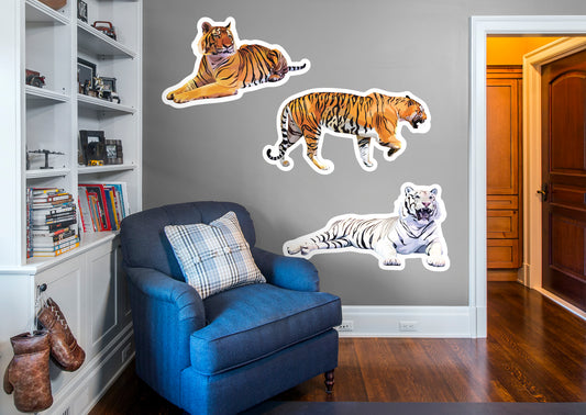 Jungle:  Tiger Collection        -   Removable Wall   Adhesive Decal