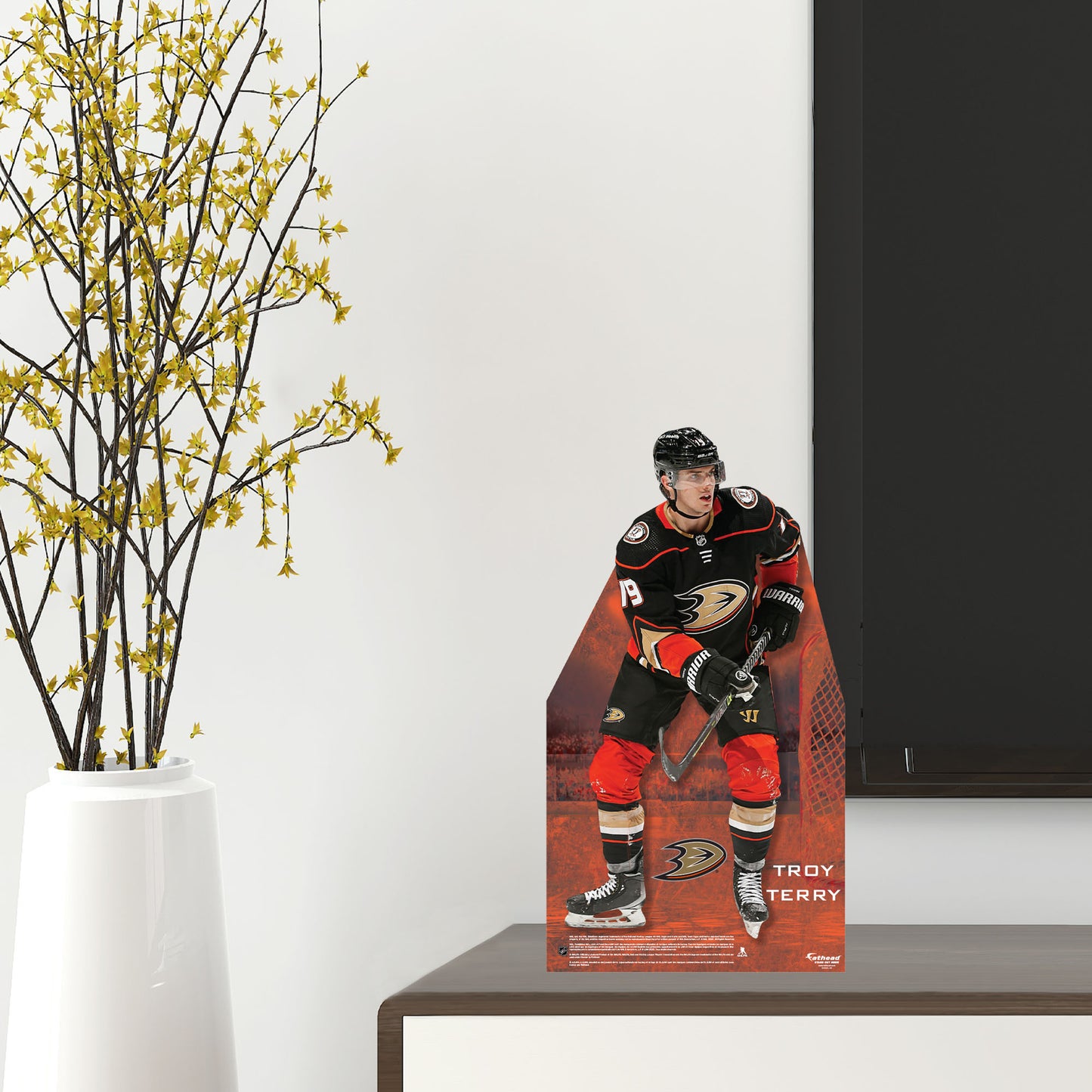 Anaheim Ducks: Troy Terry   Mini   Cardstock Cutout  - Officially Licensed NHL    Stand Out