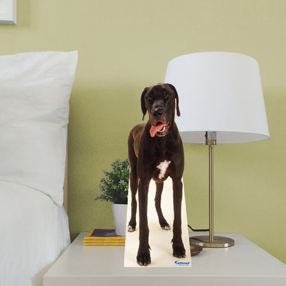 Animals:  Great Dane  Mini   Cardstock Cutout  -      Stand Out