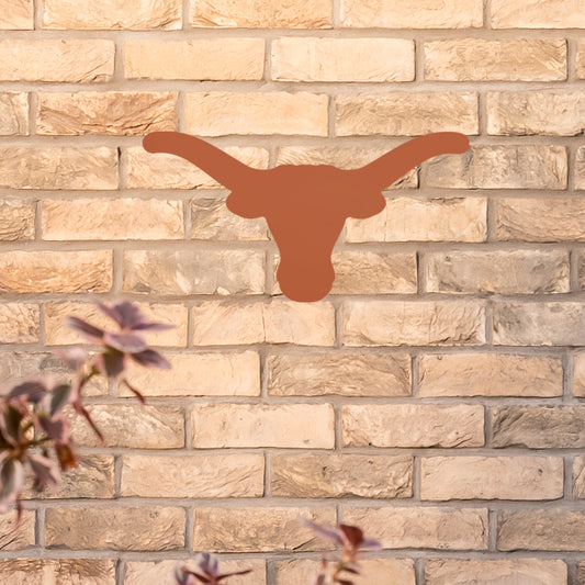 Texas Longhorns:  2022 Outdoor Logo        - Officially Licensed NCAA    Outdoor Graphic