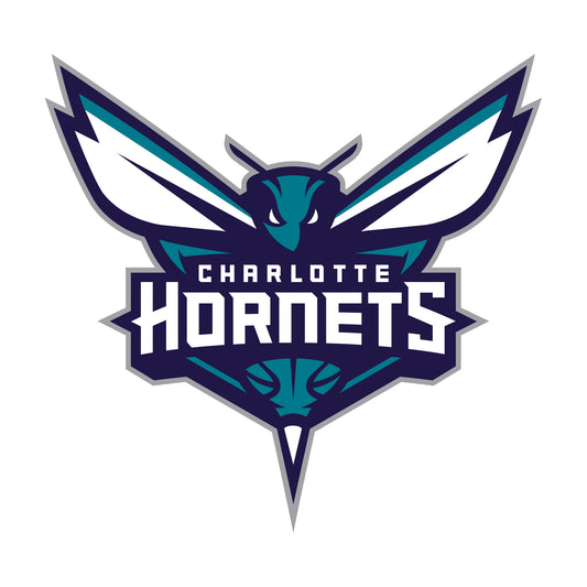 Charlotte Hornets: Brandon Miller Preseason - Officially Licensed NBA  Removable Adhesive Decal