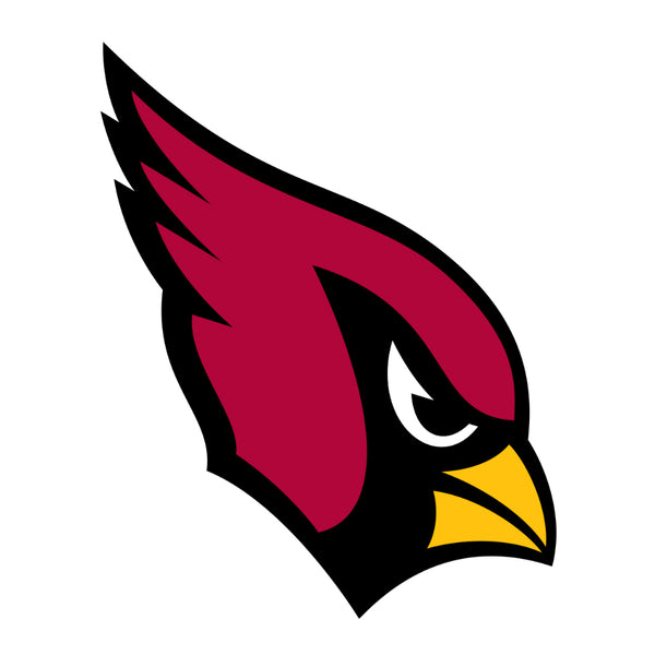 Arizona Cardinals "BIRD GANG" w/ cardinal type logo Die-Cut  MAGNET