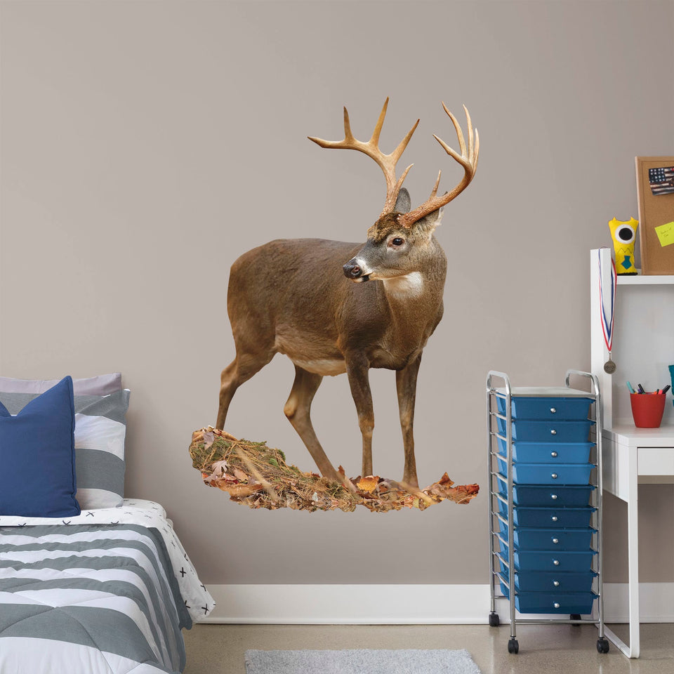 X-Large Animal + 2 Decals (25"W x 36"H)