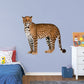Large Animal + 2 Decals (14"W x 12"H)