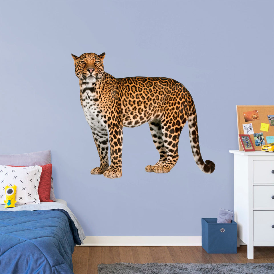 Large Animal + 2 Decals (14"W x 12"H)