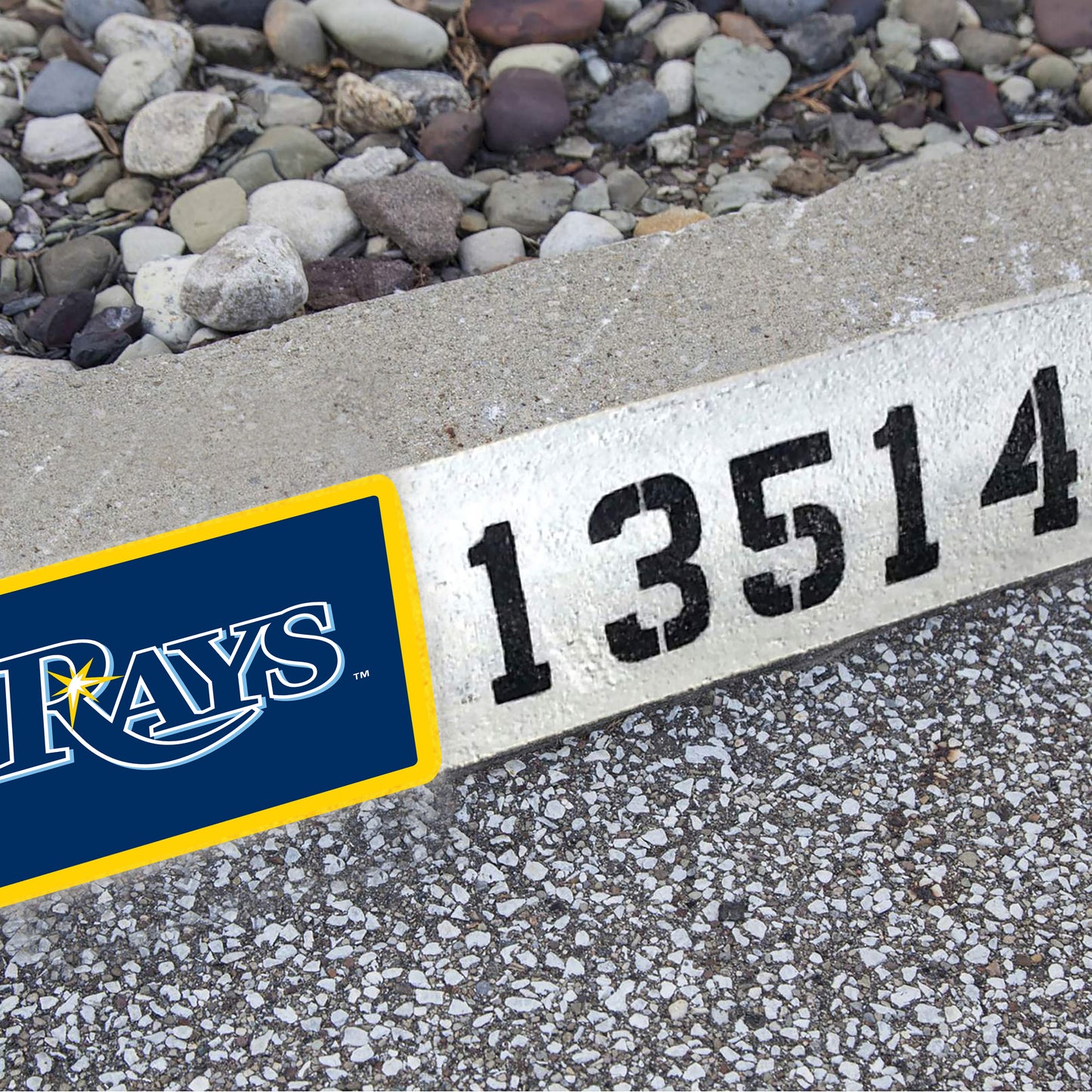 Tampa Bay Rays:  Address Block Logo        - Officially Licensed MLB    Outdoor Graphic