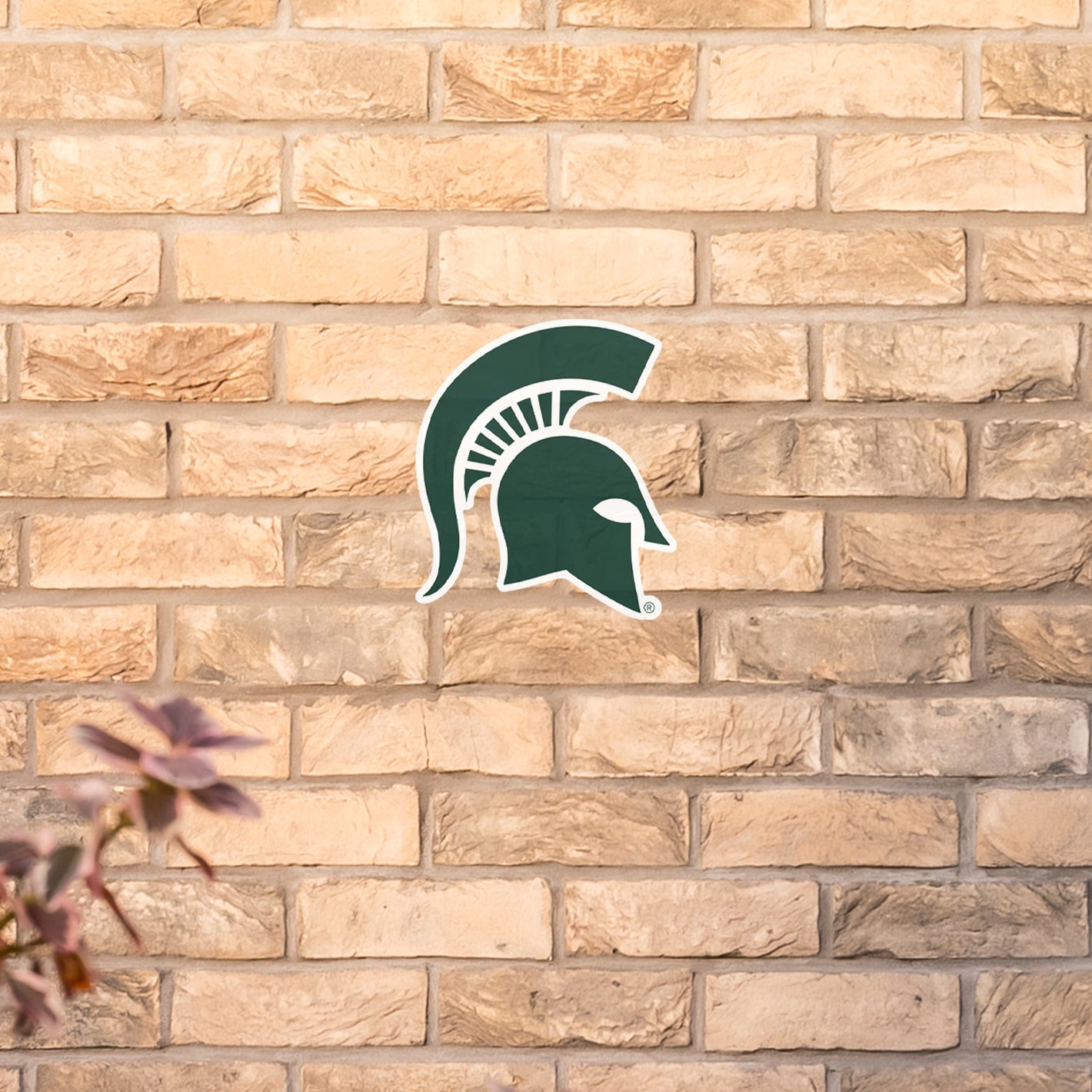 Michigan State Spartans: Outdoor Logo - Officially Licensed NCAA Outdoor Graphic