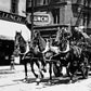 Detroit Fire Dept horse drawn engine final run (1922) - Officially Licensed Detroit News Puzzle
